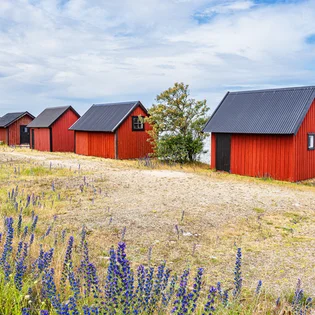 Sommer in Südschweden