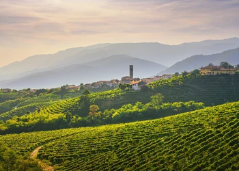 Prosecco und Tiramisu in Italien